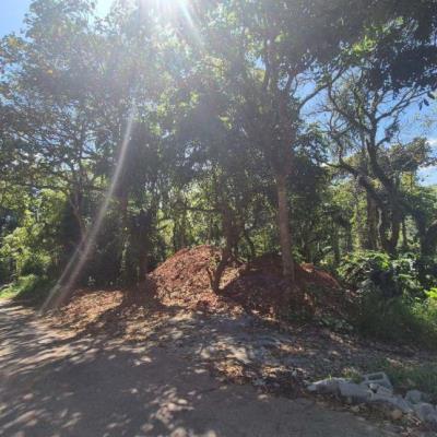 Terreno – R. Molibidênio, em Arujá