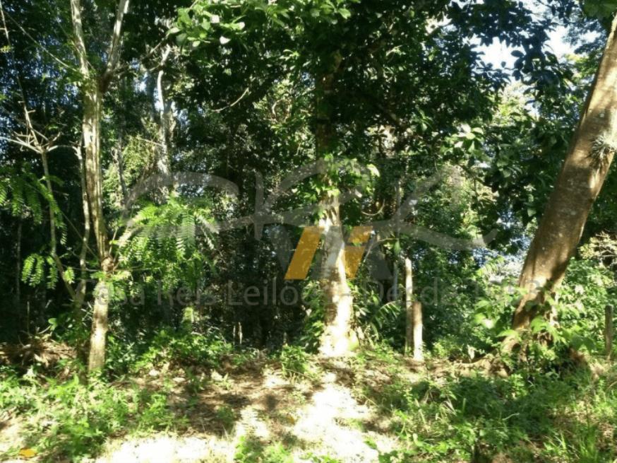Foto ilustrativa 14 - Terreno – Praia Massaguaçu, Caraguatatuba