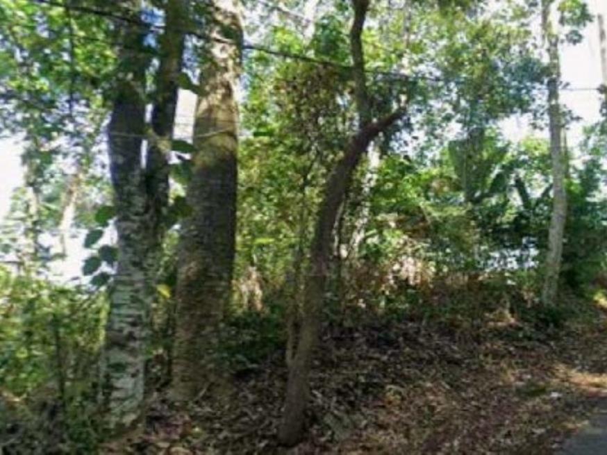 Foto ilustrativa 8 - Terreno – R. Molibidênio, em Arujá