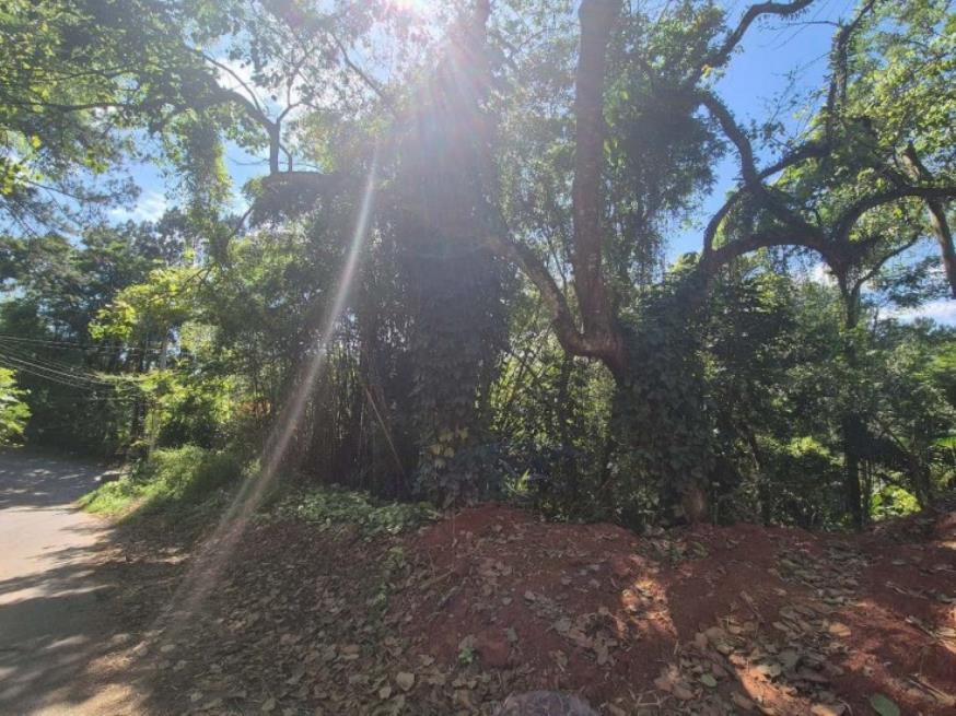 Foto ilustrativa 13 - Terreno – R. Molibidênio, em Arujá