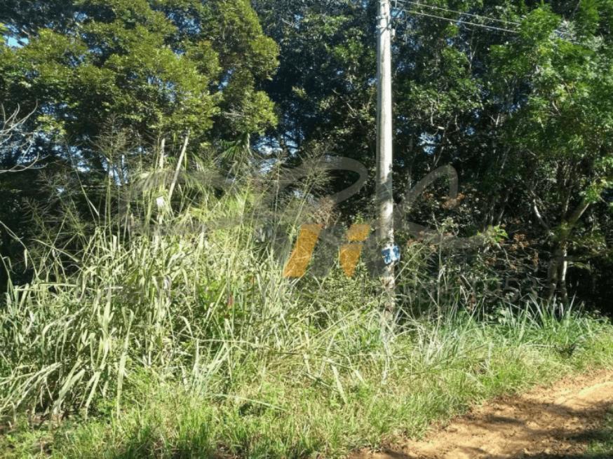Foto ilustrativa 1 - Terreno – Praia Massaguaçu, Caraguatatuba