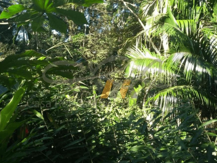 Foto ilustrativa 2 - Terreno – Praia Massaguaçu, Caraguatatuba