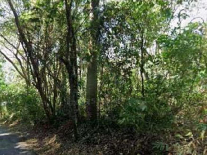 Foto ilustrativa 6 - Terreno – R. Molibidênio, em Arujá