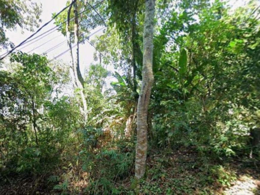 Foto ilustrativa 5 - Terreno – R. Molibidênio, em Arujá