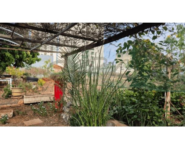Foto de Terreno Urbano – R. Pedro Amaral, 2554 até 2590, bairro Boa Vista em São José do Rio Preto