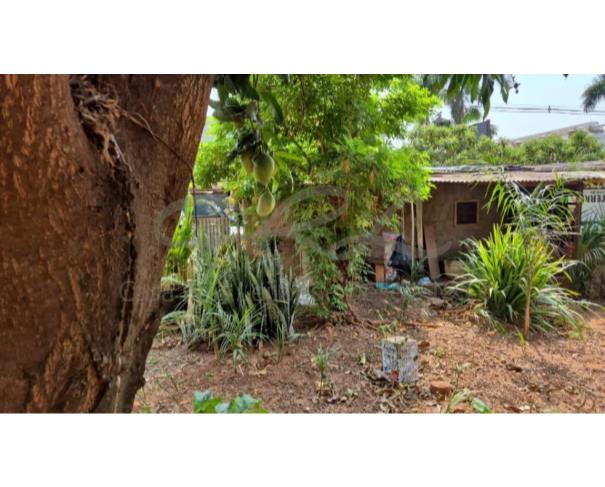 Foto de Terreno Urbano – R. Pedro Amaral, 2554 até 2590, bairro Boa Vista em São José do Rio Preto