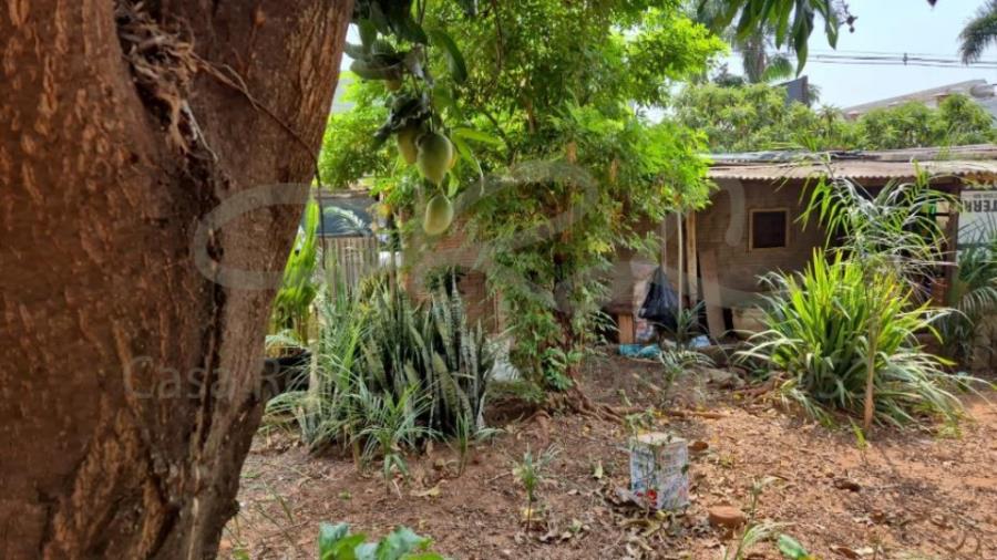 Terreno Urbano – R. Pedro Amaral, 2554 até 2590, bairro Boa Vista em São José do Rio Preto Terreno Urbano em São José do Rio Preto, localizado em São José Do Rio Preto - SP, bairro Boa Vista